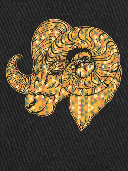 Sheep Geometric