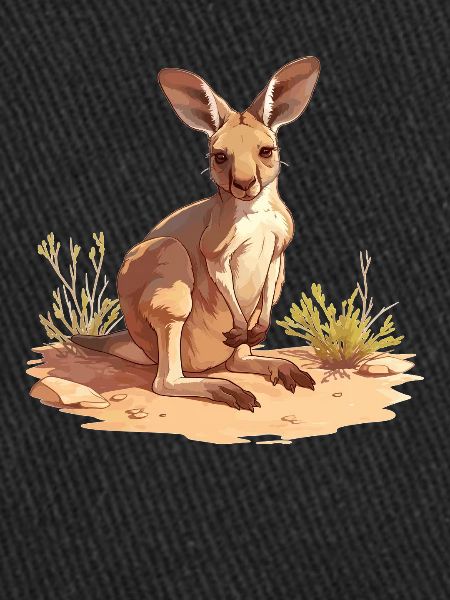Kangaroos Kangaroo