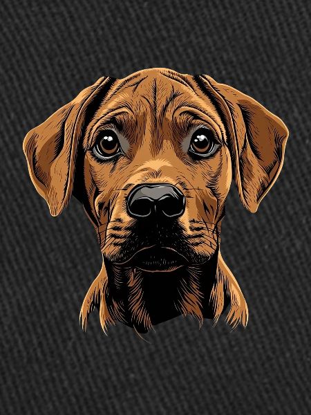 Rhodesian Ridgeback