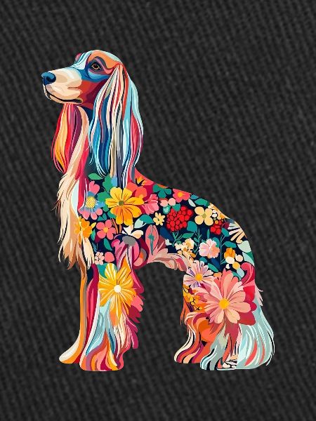 Afghanischer Windhund