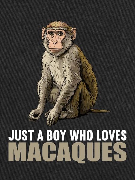 Macaque Macaque