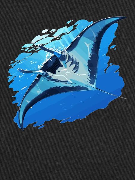 Manta Rays Manta Rays