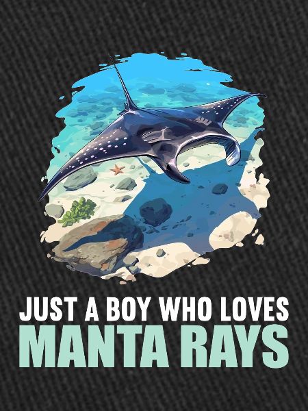 Manta Rays Manta Rays
