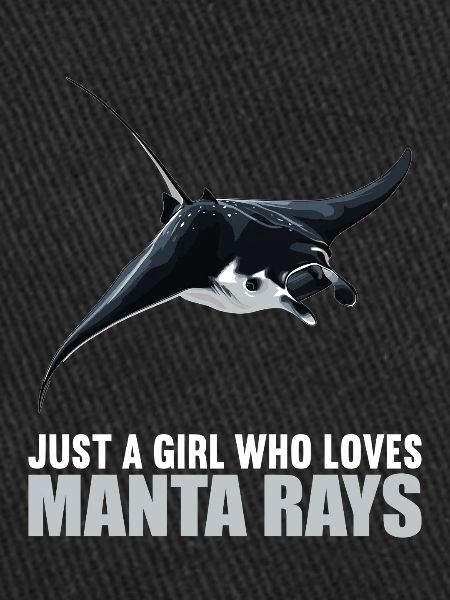 Manta Rays Manta Rays