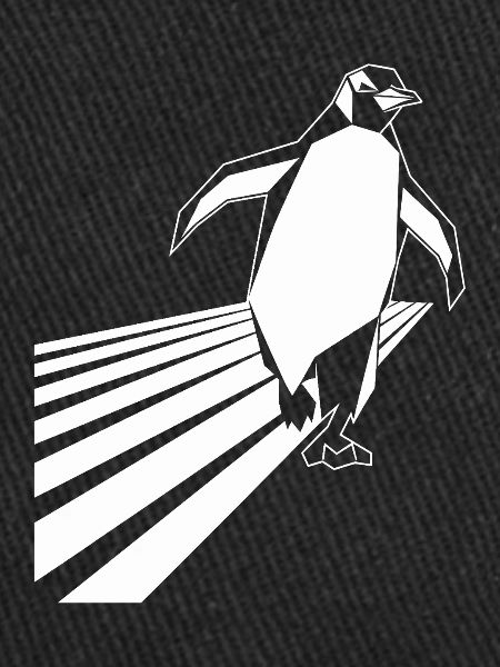 Running Penguin Running Jogging