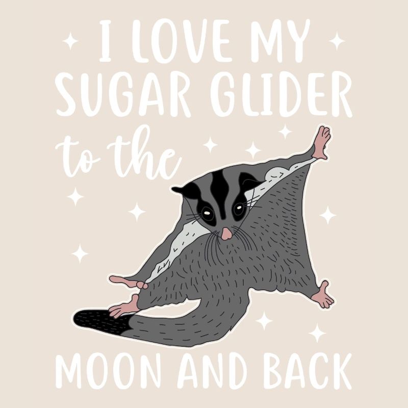 Sugar glider