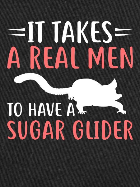 Sugar glider
