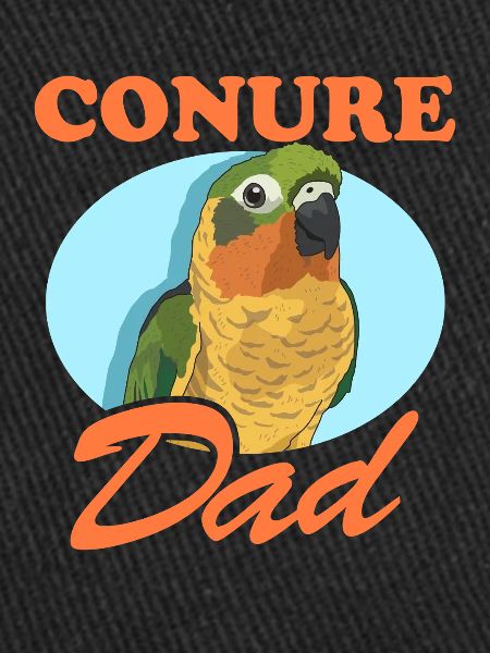 Conure Papa Perroquets Conures Cadeau