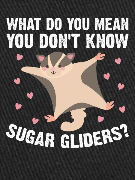 Sugar glider