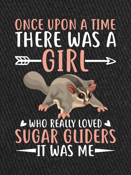 Sugar glider