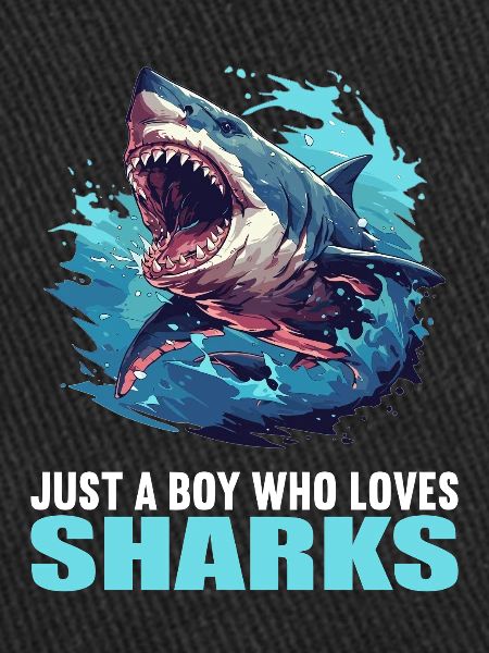 Sharks Shark