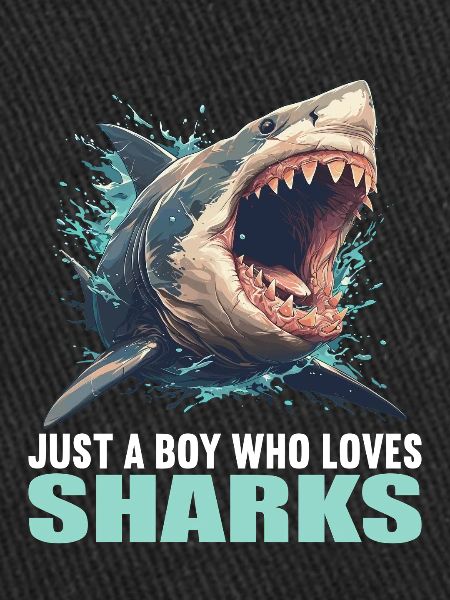 Requins Requin