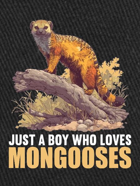 Mongoose's Mongoose