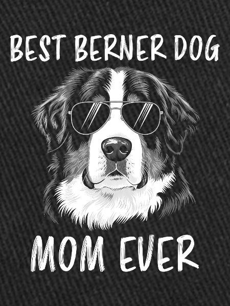 Bouvier bernois Dicton bouvier bernois