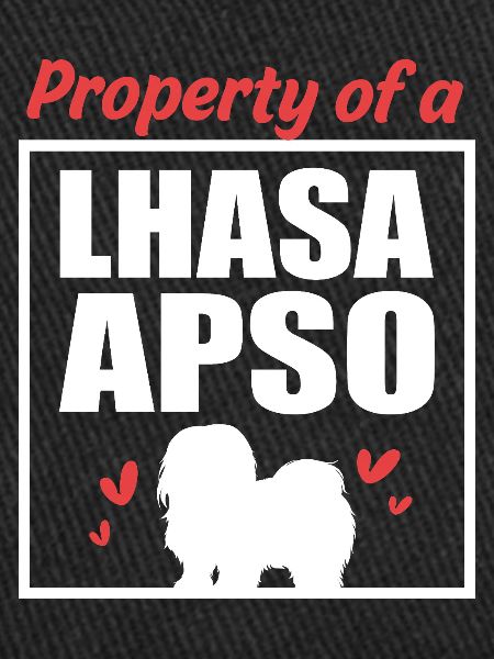 Lhasa Apso Dog