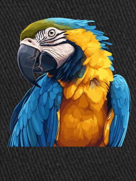 Parrot Parrot Parrot