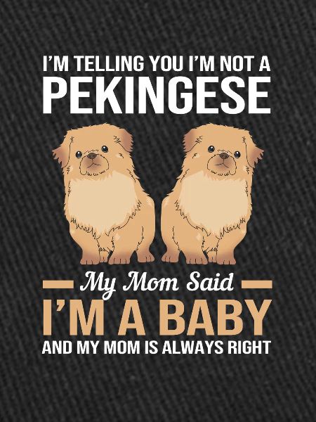Pekingese Peningese