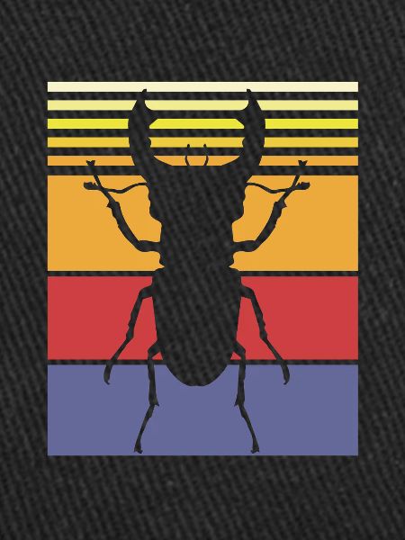 Insecte