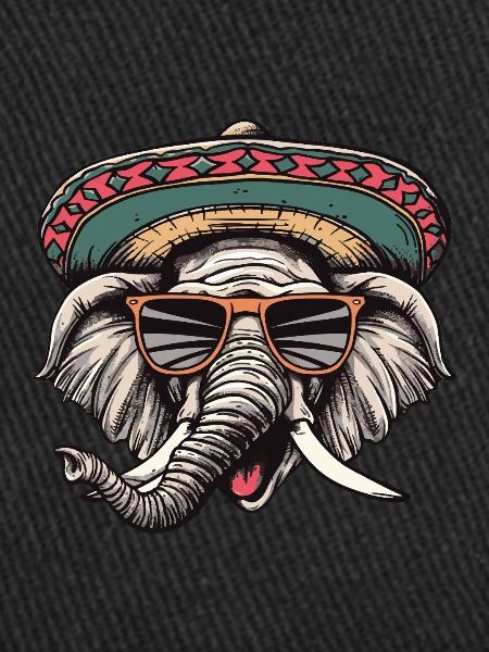 Elephant Comic Funny Sombrero