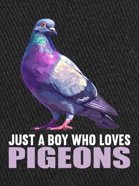 Pigeons Pigeon