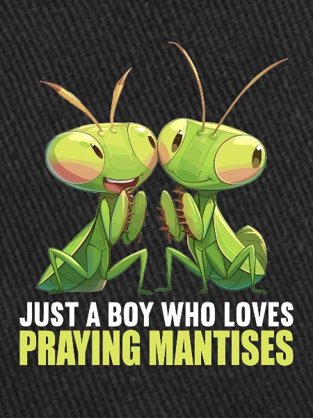 Praying mantises Praying mantis