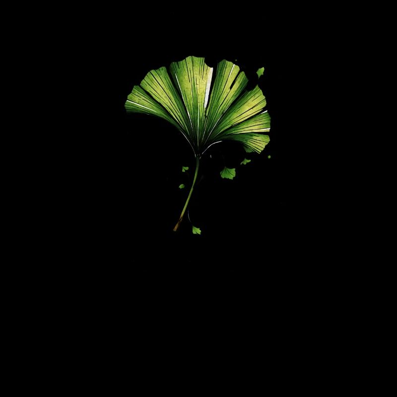 Feuille de Ginkgo Encre Aquarelle