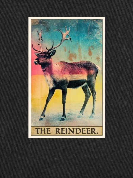 Renne Renne