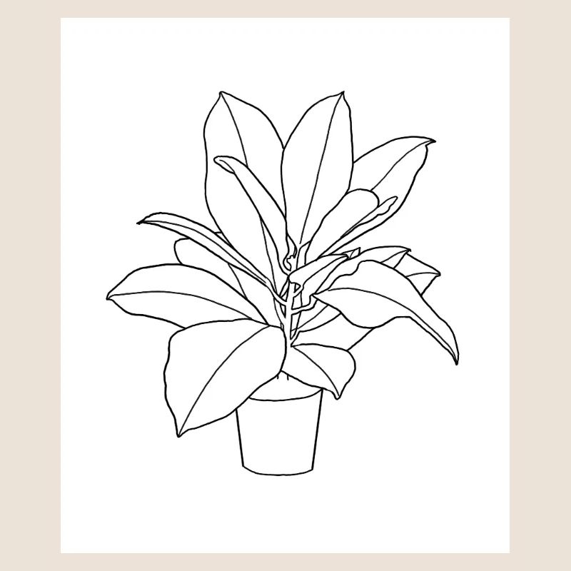 Planter