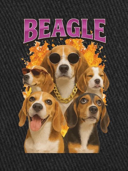 Beagle