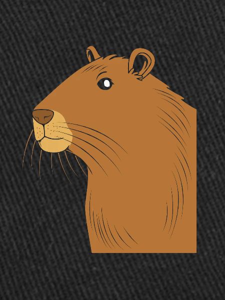Capybara Capibara
