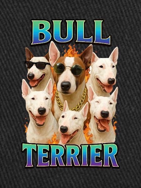 Bullterrier