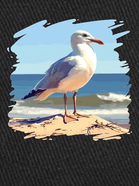 Seagulls Seagull