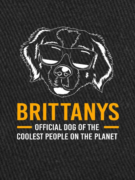Brittany Dog Brittany Dog
