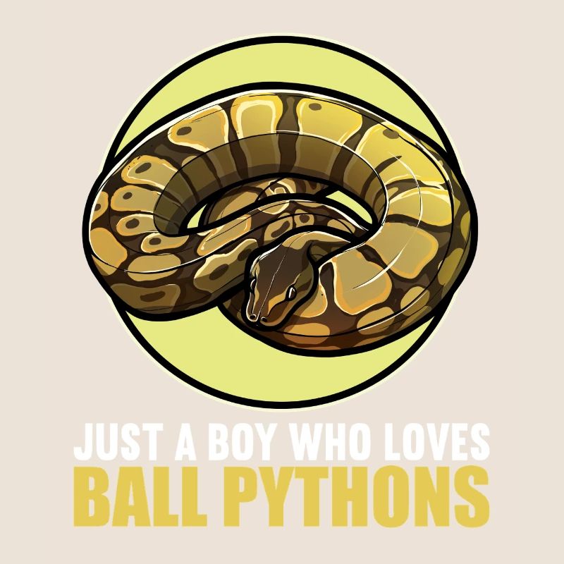 Ball Python Roi Python Roi Python