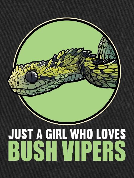 Bush Vipers Bush Viper