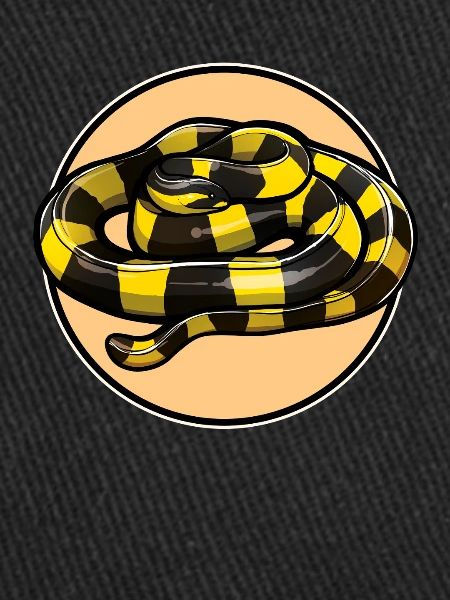 Banded Krait Gebänderter Krait