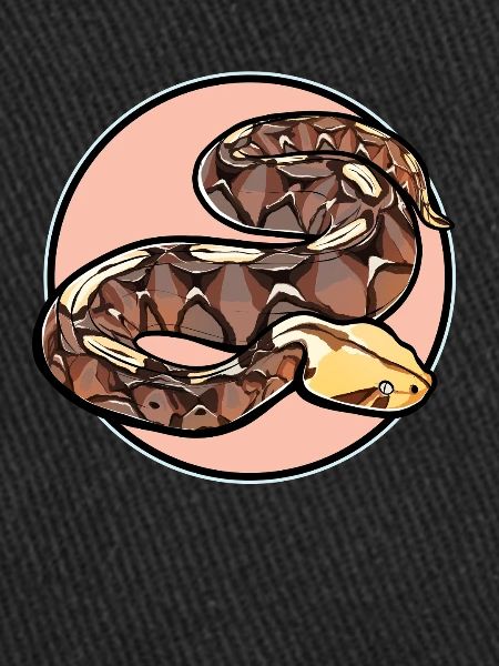 Gabon Vipers Gabon Vipers