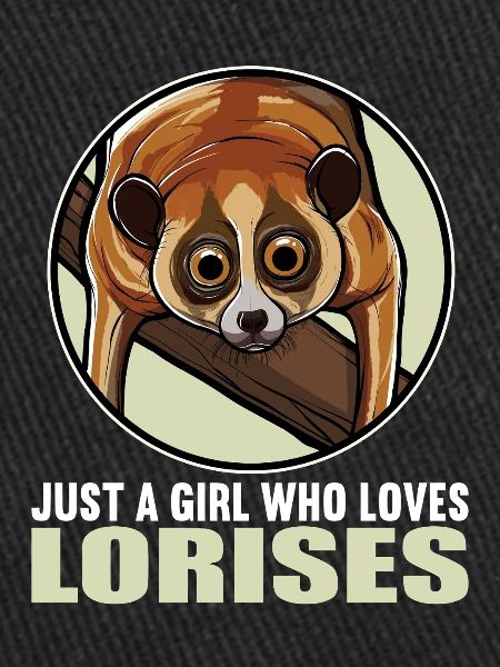 Lois lents Loris