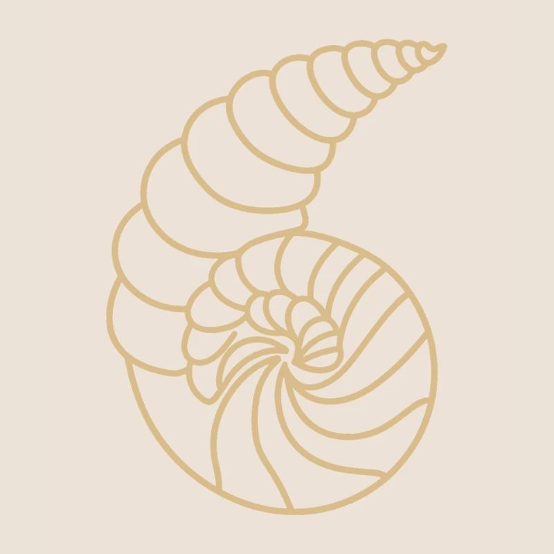 shell