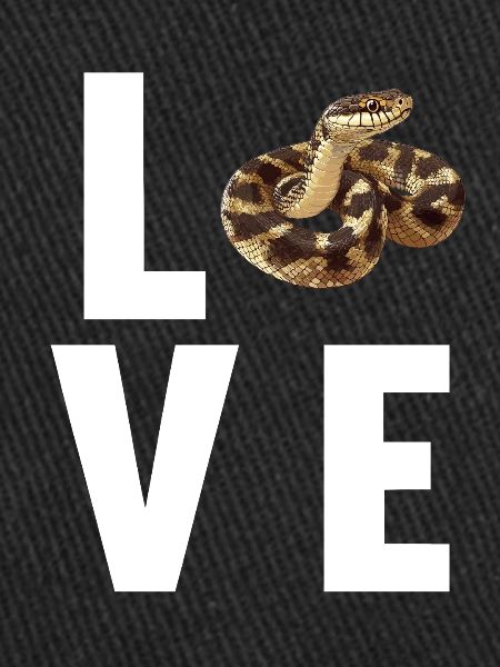 Snakes Snake