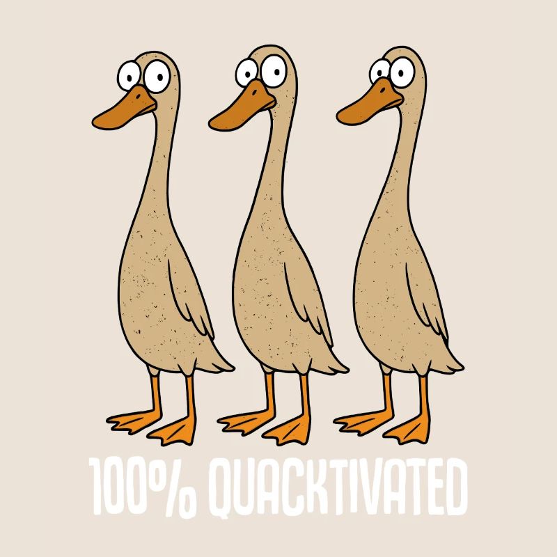 Running ducks keep runner ducks Breeding runner ducks