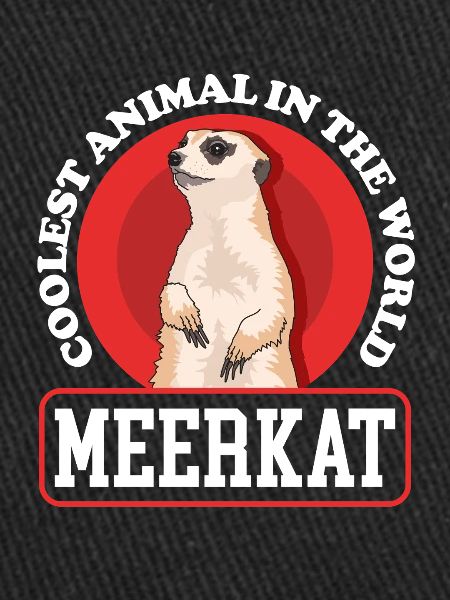 Suricate Cadeaux drôles de suricate