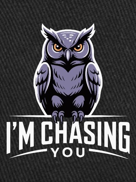 OWL CHASING YOU