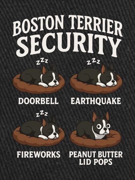 Boston Terrier