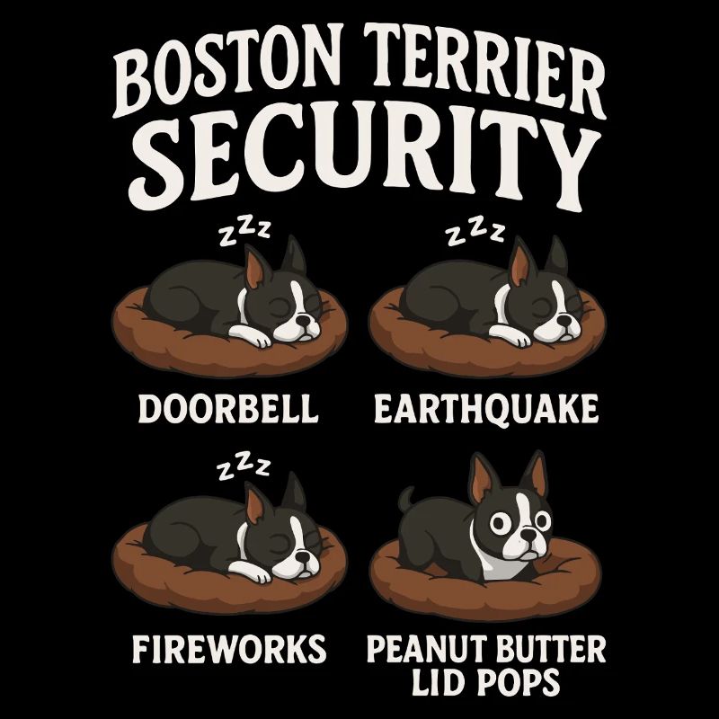 Boston Terrier