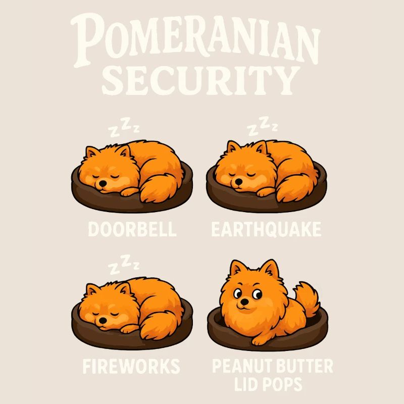 Dwarf spitz