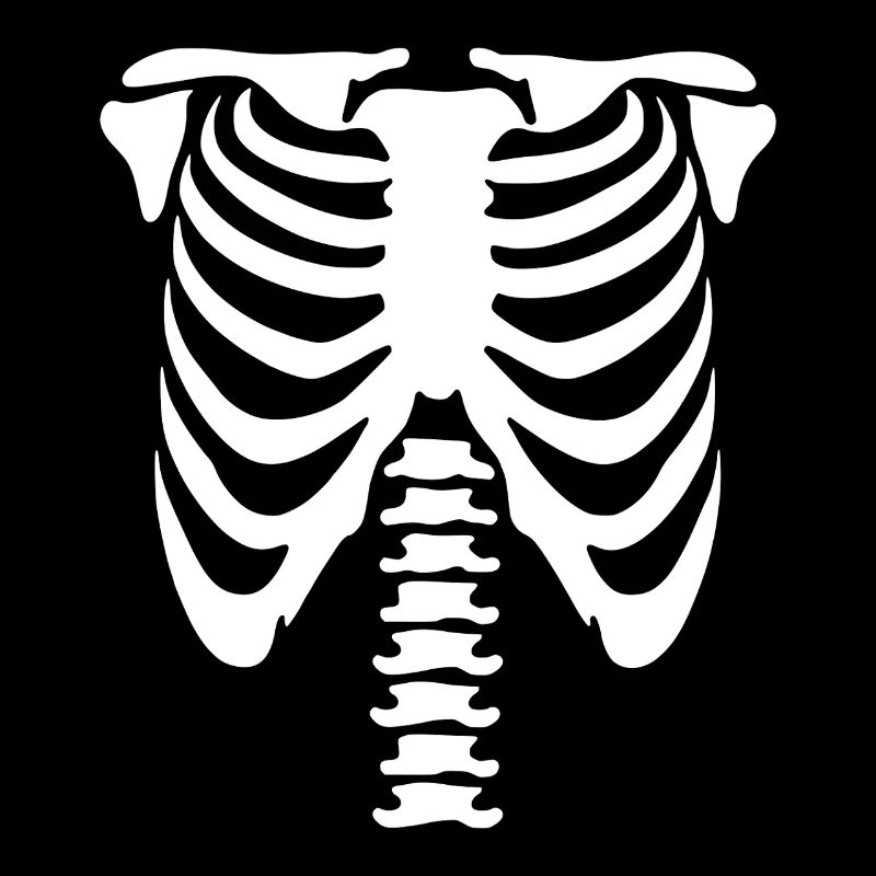 Skeleton Torso
