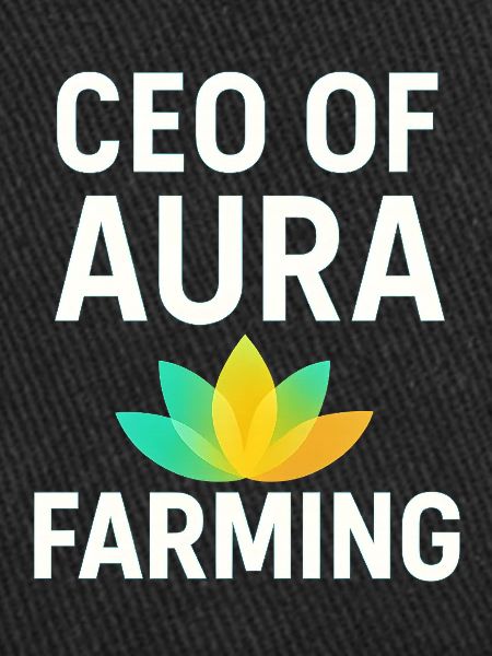 PDG d’aura farming Dicton drôle