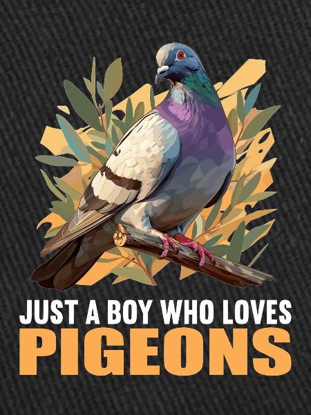 Pigeons Pigeon