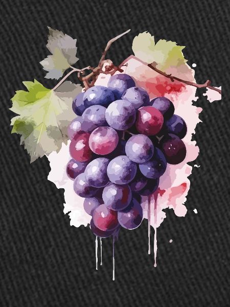 Raisins Aquarelle